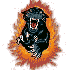 FiredUpPanther's Avatar
