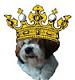 kingGOGO's Avatar